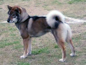 Shikoku