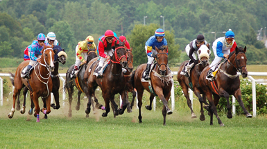 galopp.jpg