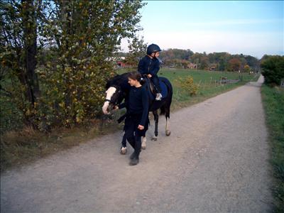 nr 4