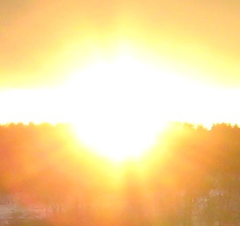 IMG_3208crop.jpg