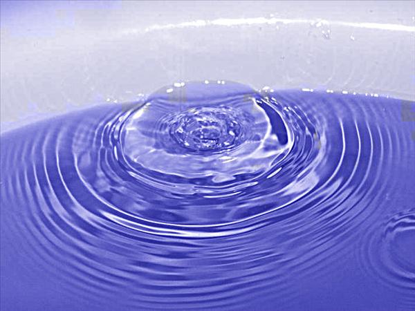 23851_390572588136_680198136_3912079_790538_n.jpg