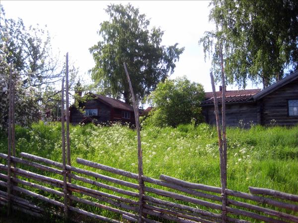 Bidrag2.jpg