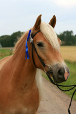 bild3.jpg