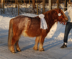 backdalens_ninjo_nordmaling09.jpg