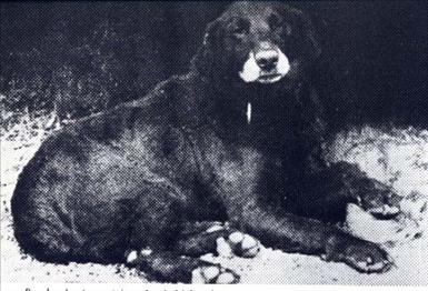Avon1885.jpg