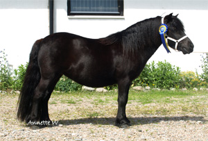 giljans_yadira_fargelanda09.jpg