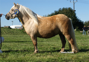 09var_terracina.jpg