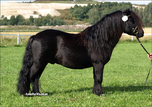 09gmkop_alvasens_latcho.jpg