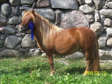 risslas kelda bjar.jpg