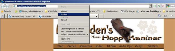 länk4.jpg