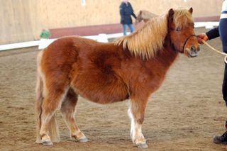 Bild 169.jpg