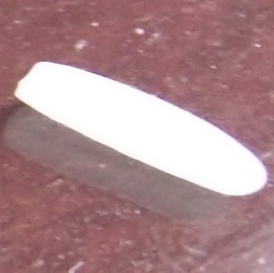 DSCF2081.JPG