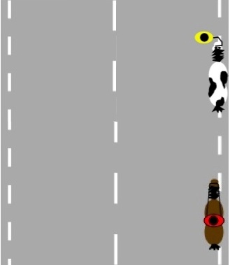 Bild 2.jpg