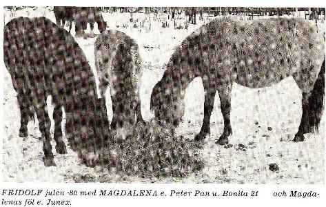 Fridolf 273 i Finland