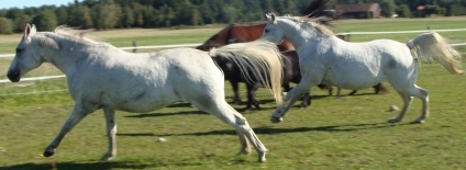 Bild 066.jpg