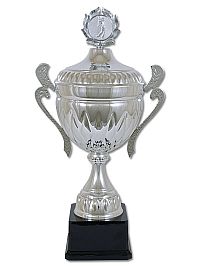 pokal