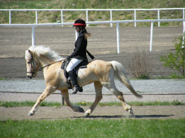 DSCF2110.jpg