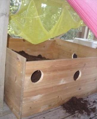 g2.JPG