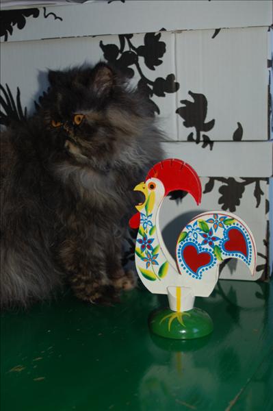 april 008.jpg