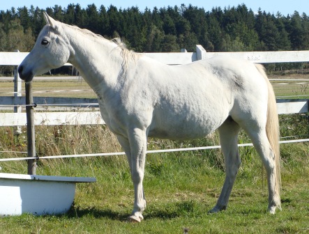 Bild 006.jpg