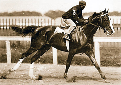 jockey.jpg