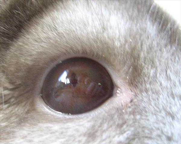 20070720 066.2.jpg
