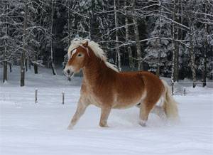 bild8.jpg