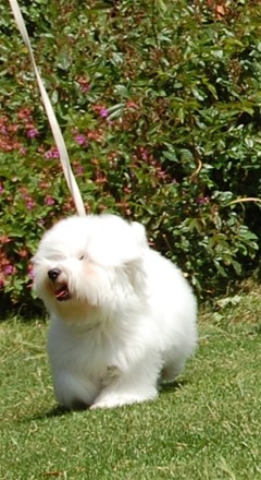pictureCAONB5ON.jpg