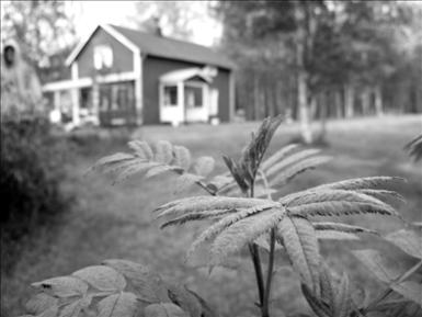 101_0178BW.jpg