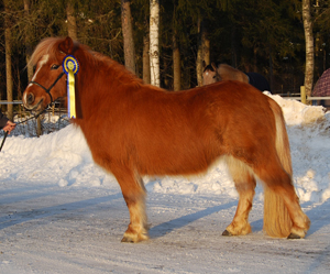 ashanti_nordmaling09.jpg