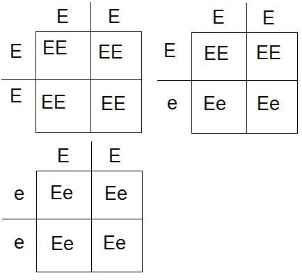 Korsningsschema EE EE EE Ee.jpg