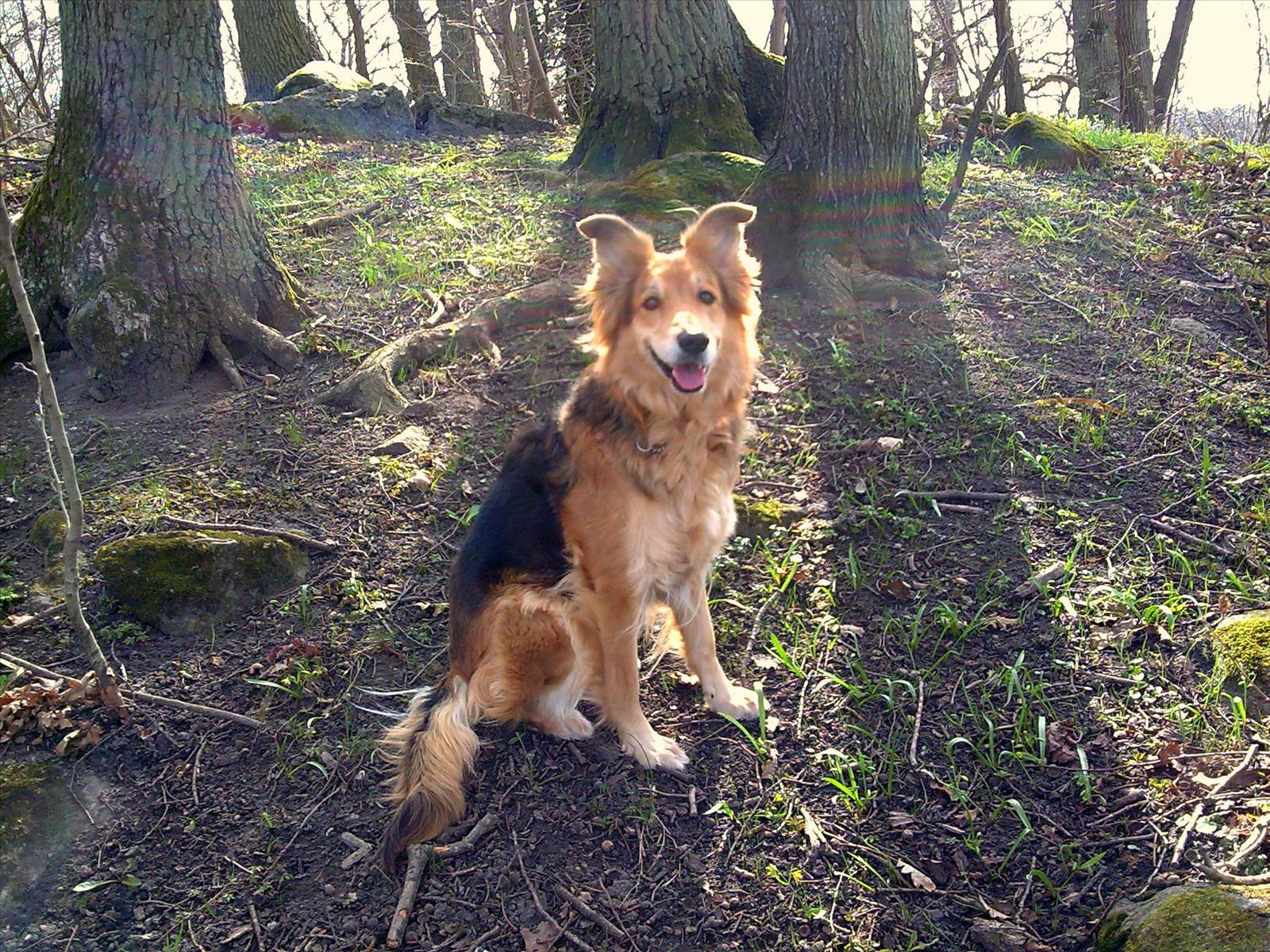 Månadstävling april 2009