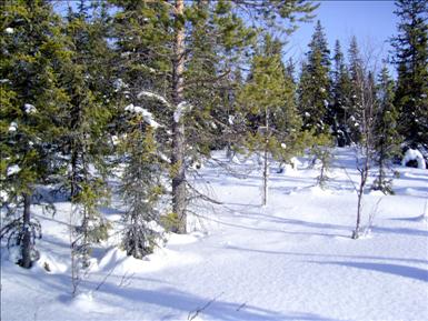 SNC10021.jpg