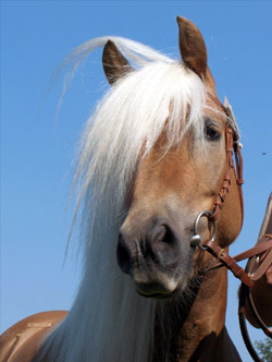 bild2.jpg