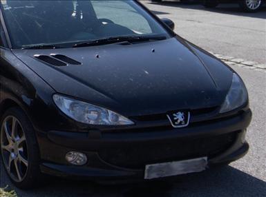 Hille2-2.jpg