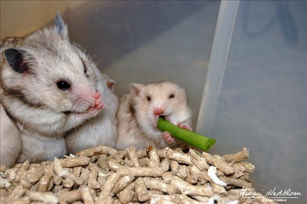 100822 288.JPG