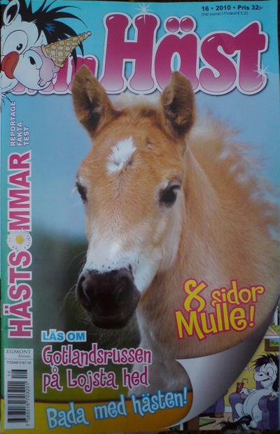 Min Häst nr 16, 2010