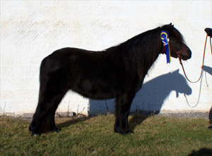 miss_marilyn_norrkoping09.jpg