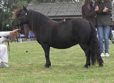 smevallens_caritsa_09_w.jpg