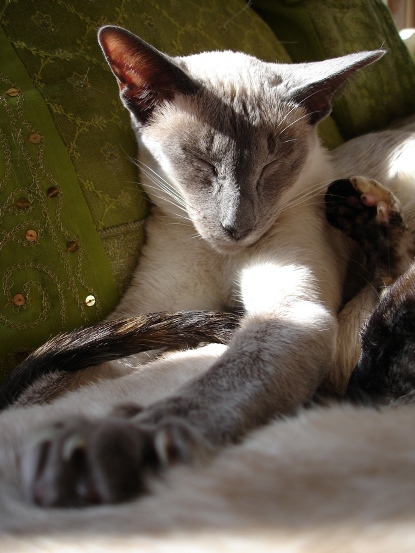 DSC09646.JPG