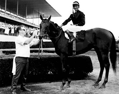 Buckpasser3.jpg