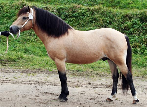 Tyfon 617 bild.jpg