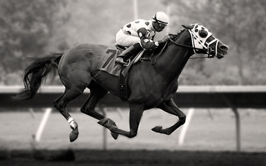 jockey.jpg