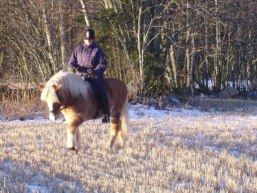Bild6.jpg