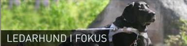 Färdiga loggan.JPG