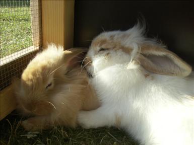 Loka & Vichy (37).jpg