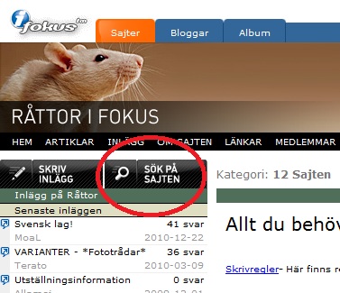 sökknappen.jpg