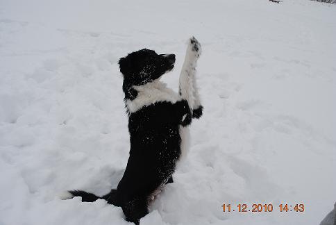 DSC_0295.jpg