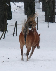 bild4.jpg