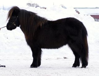 100206_dytona_1.jpg